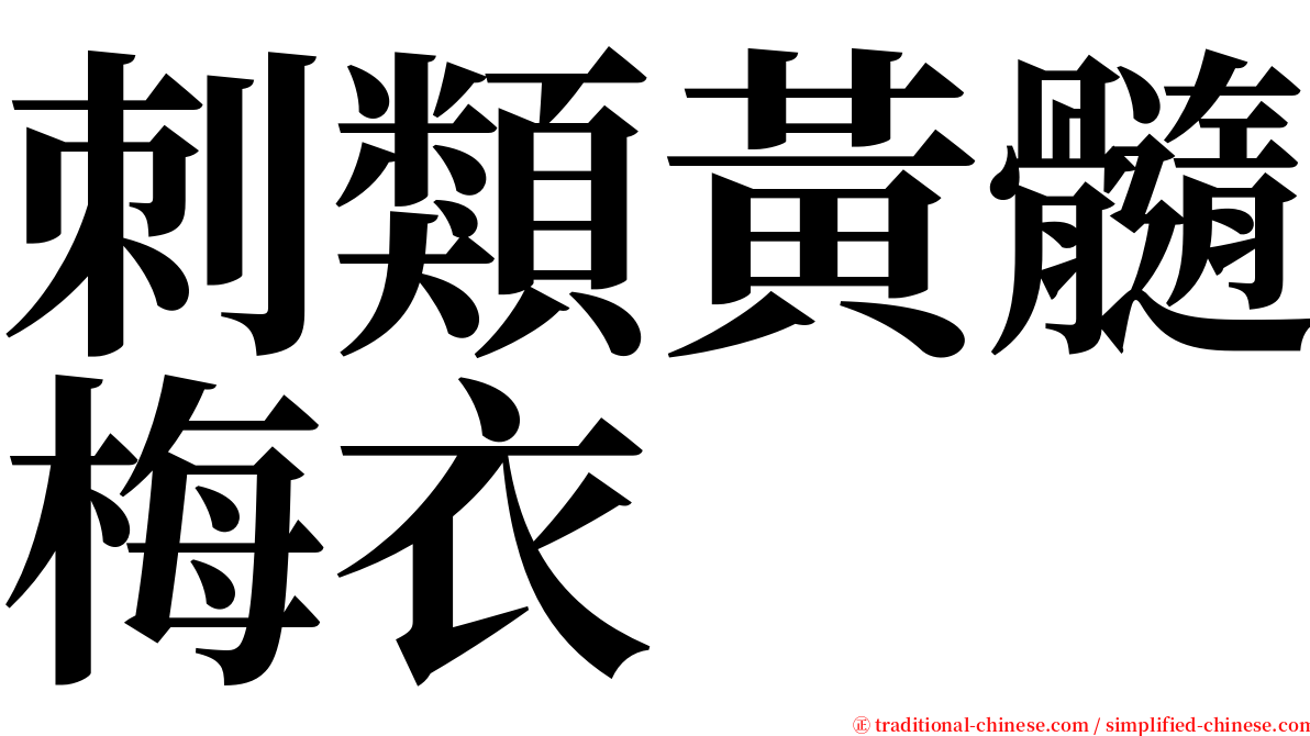 刺類黃髓梅衣 serif font