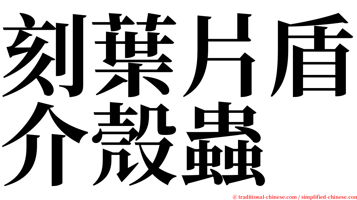 刻葉片盾介殼蟲 serif font