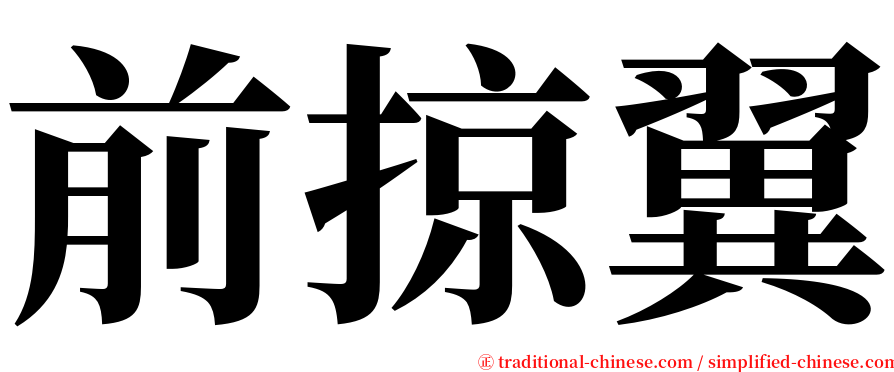 前掠翼 serif font