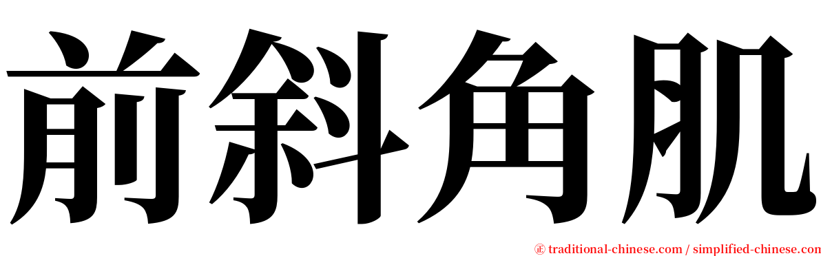 前斜角肌 serif font