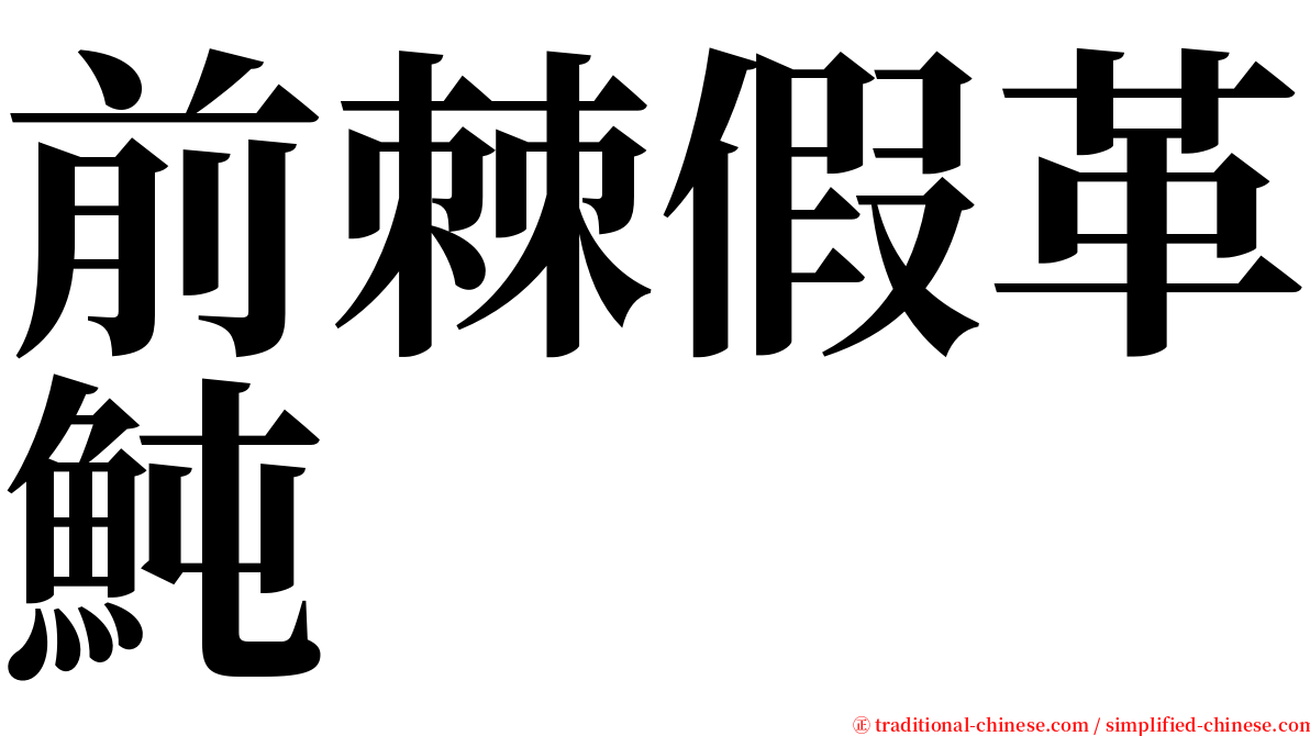 前棘假革魨 serif font