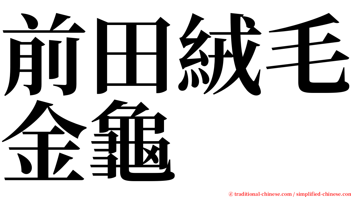 前田絨毛金龜 serif font