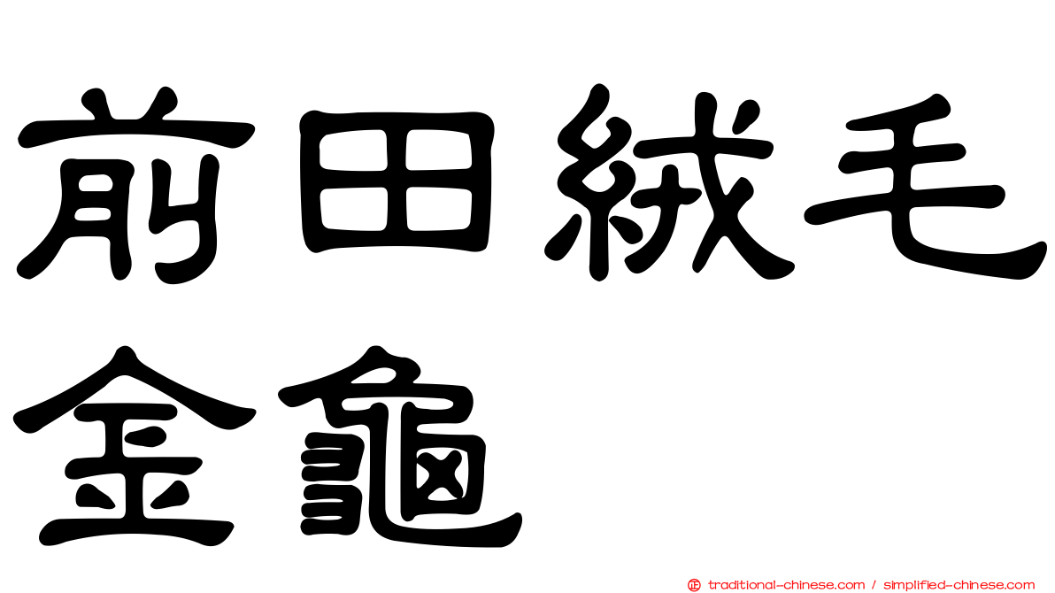 前田絨毛金龜