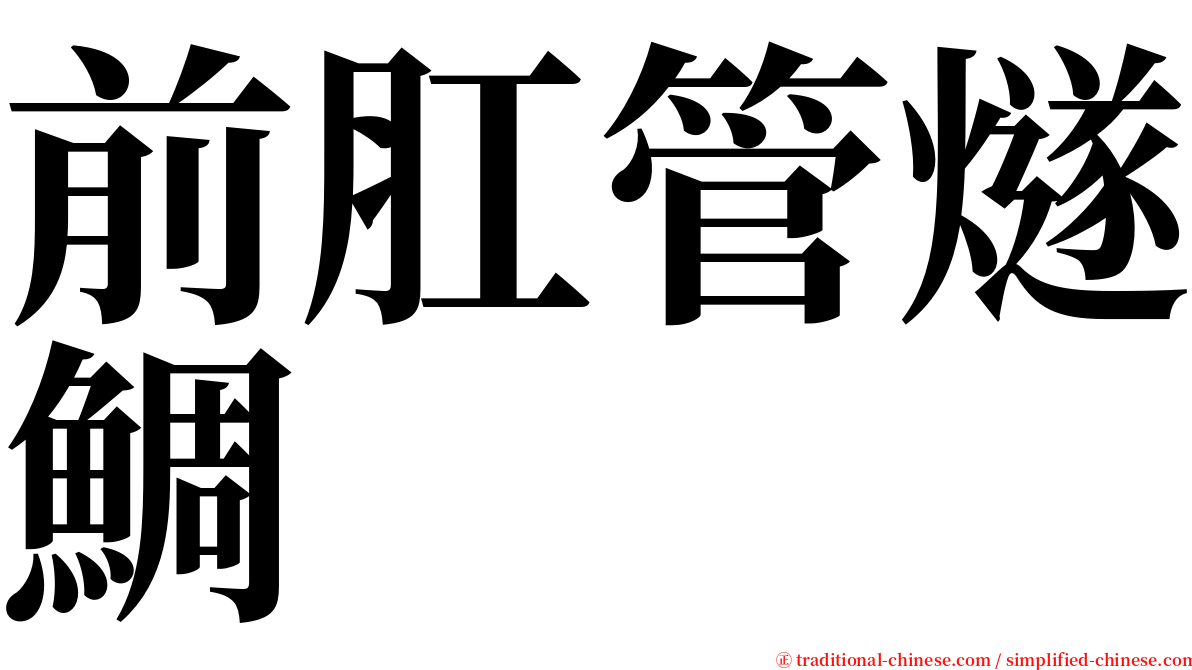 前肛管燧鯛 serif font