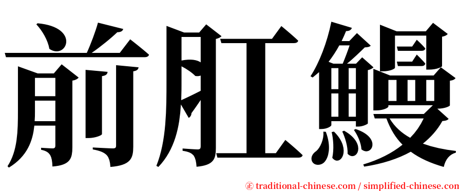 前肛鰻 serif font