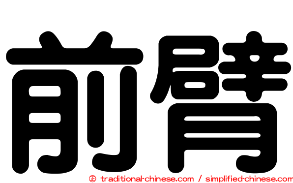 前臂