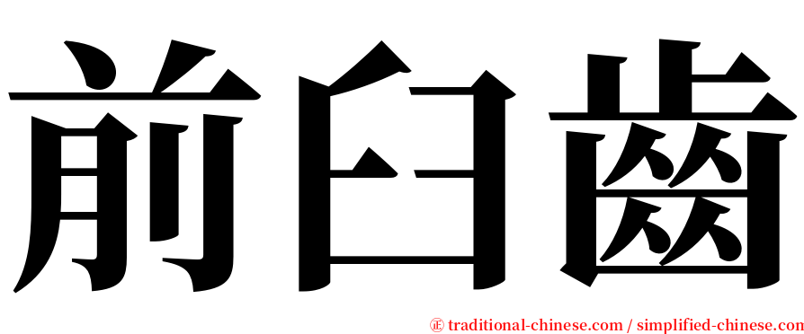 前臼齒 serif font