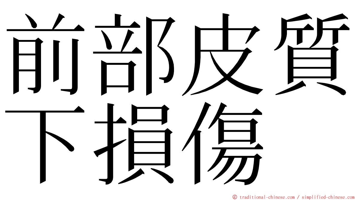 前部皮質下損傷 ming font