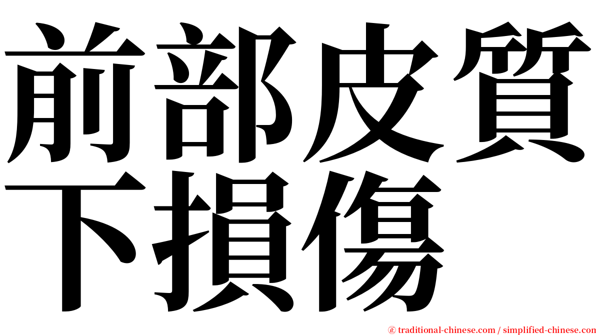 前部皮質下損傷 serif font