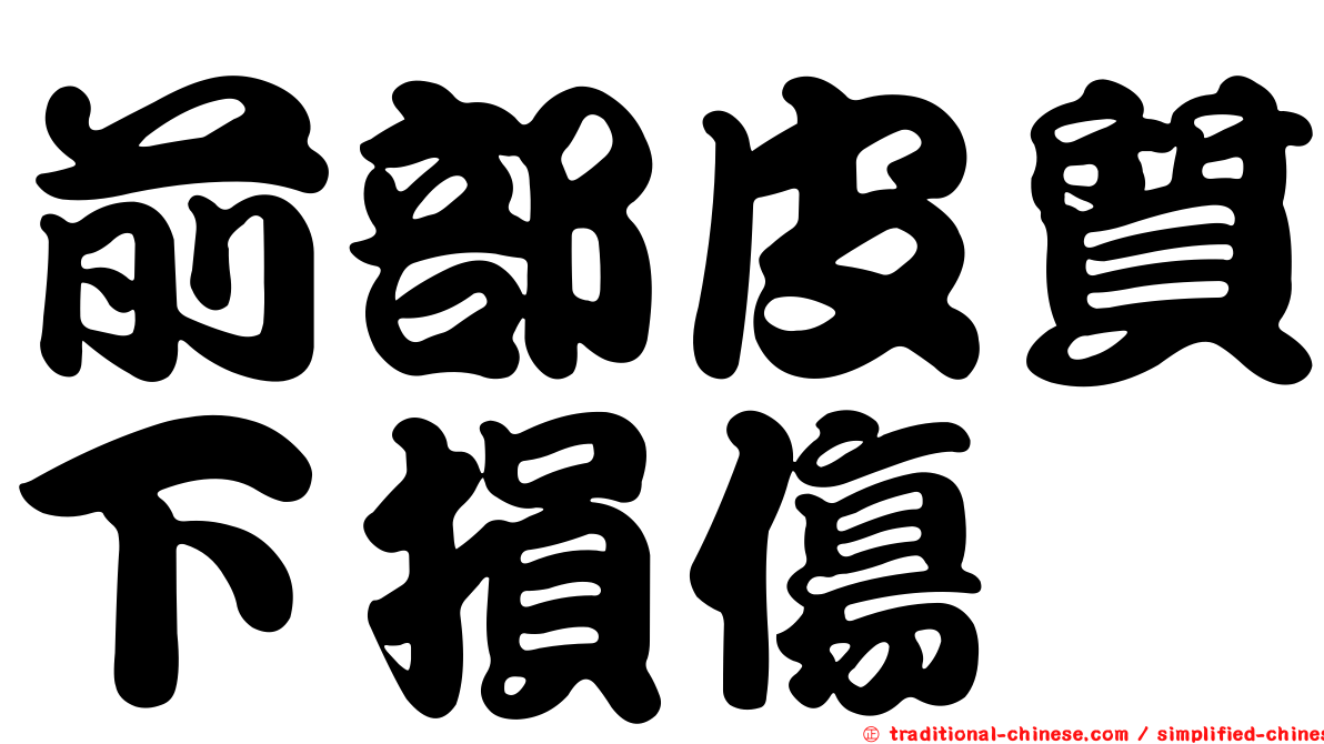 前部皮質下損傷