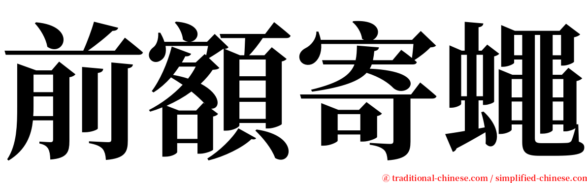 前額寄蠅 serif font