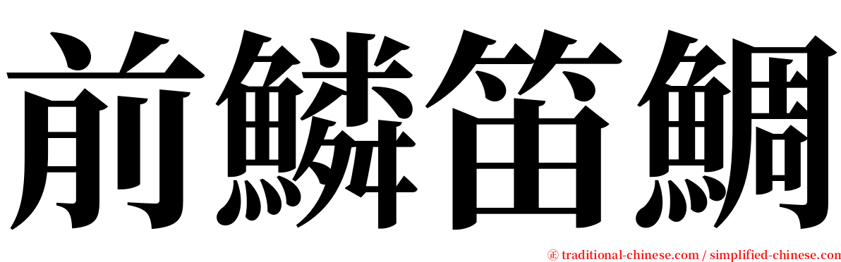 前鱗笛鯛 serif font