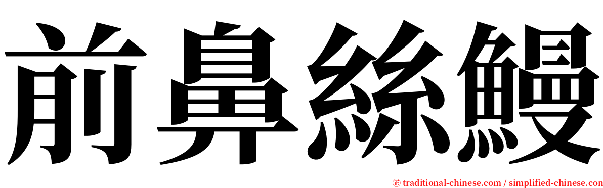 前鼻絲鰻 serif font