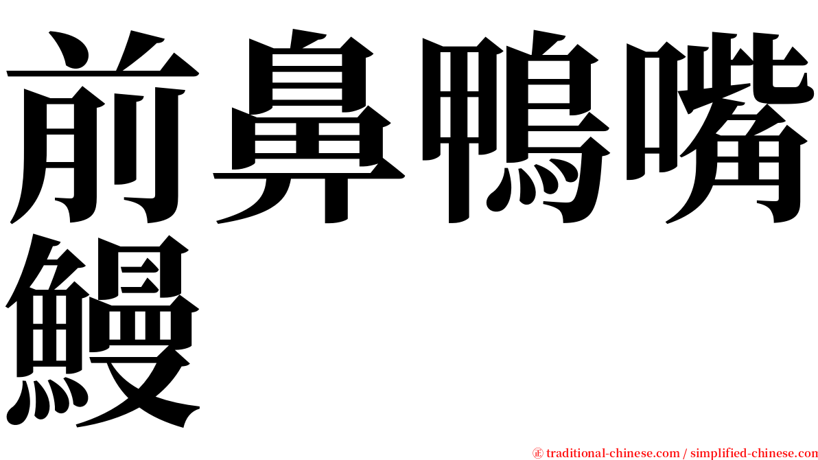 前鼻鴨嘴鰻 serif font