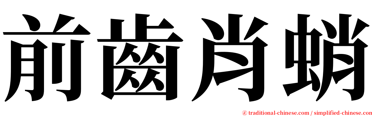 前齒肖蛸 serif font