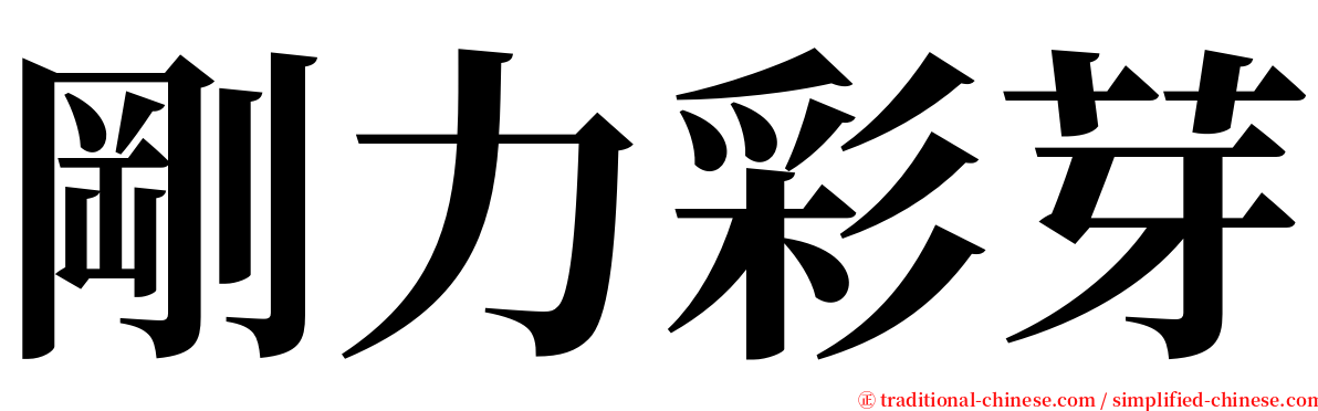 剛力彩芽 serif font