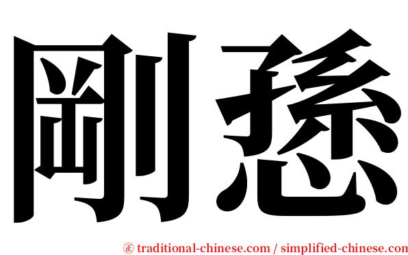 剛愻 serif font