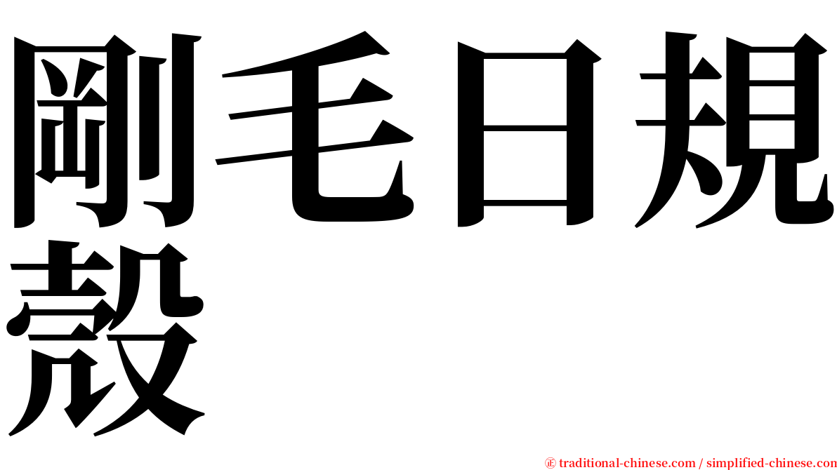 剛毛日規殼 serif font