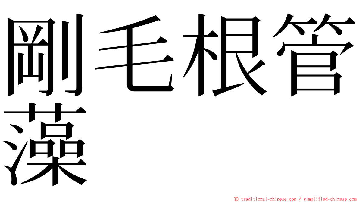 剛毛根管藻 ming font