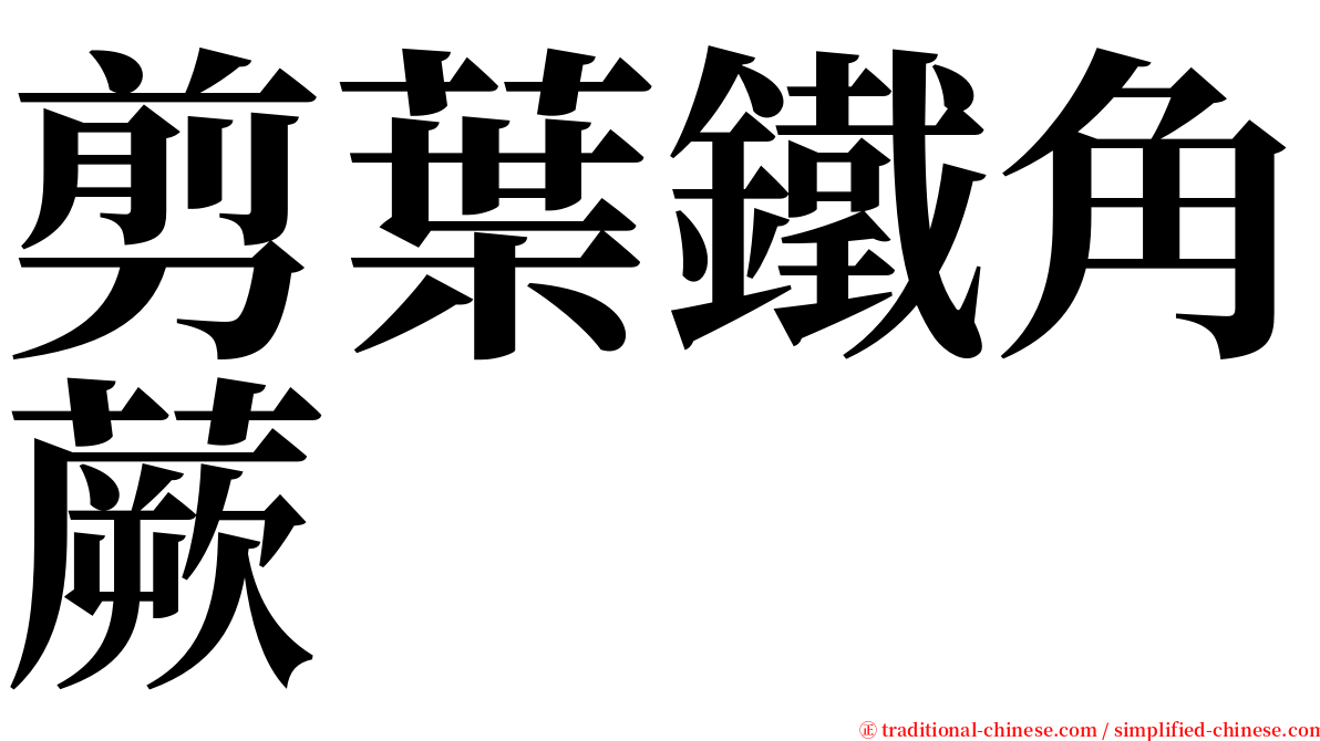 剪葉鐵角蕨 serif font