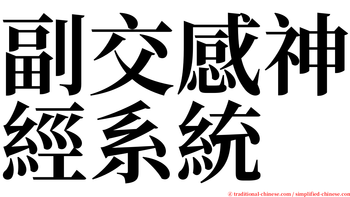 副交感神經系統 serif font