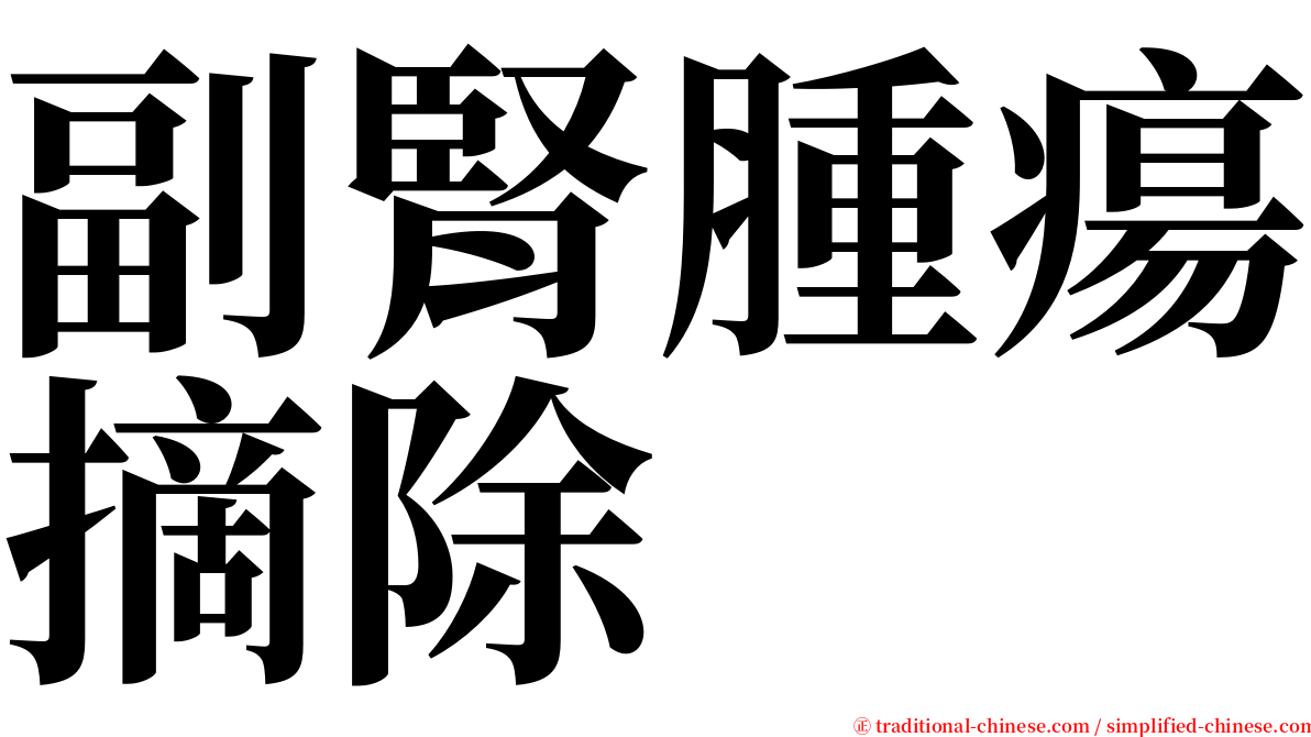 副腎腫瘍摘除 serif font