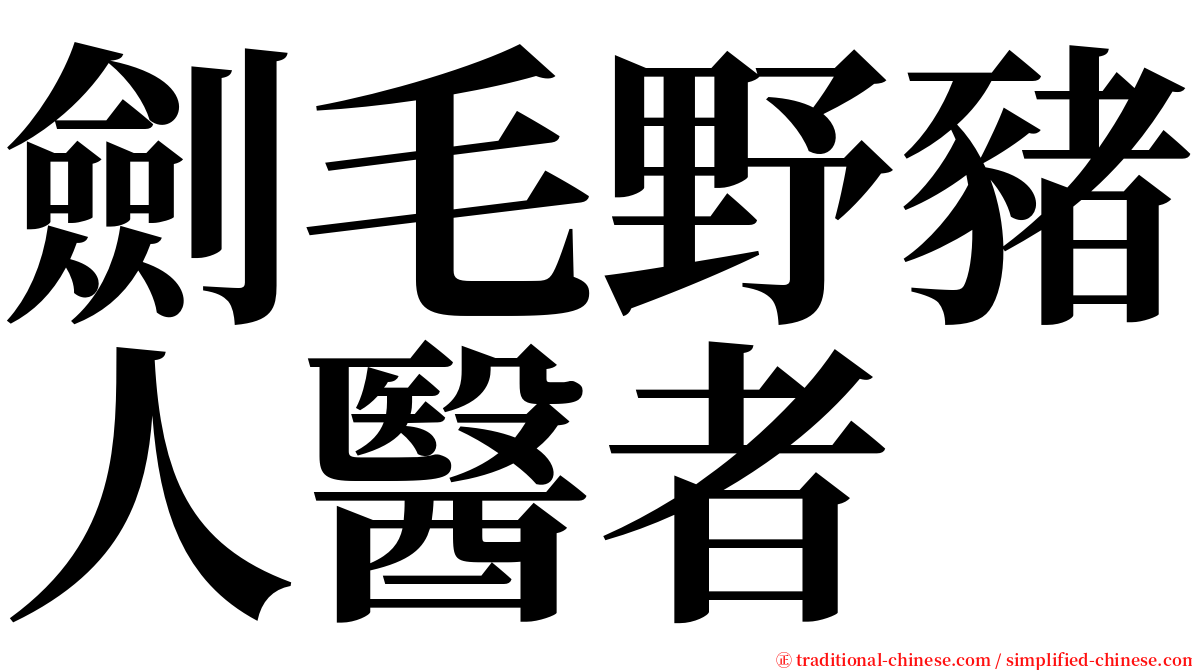 劍毛野豬人醫者 serif font