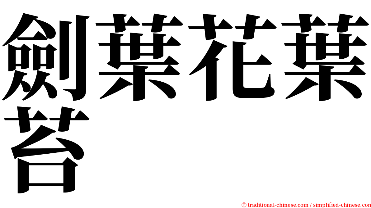 劍葉花葉苔 serif font