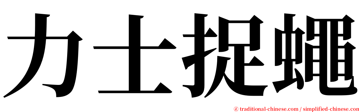 力士捉蠅 serif font