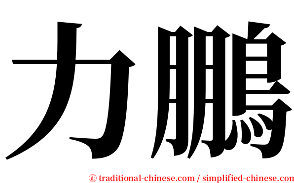 力鵬 serif font