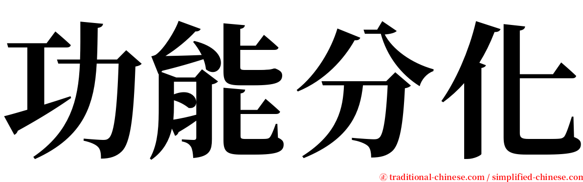 功能分化 serif font