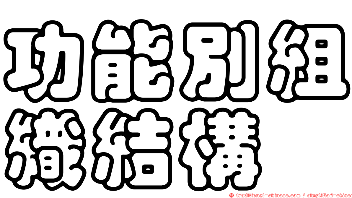 功能別組織結構