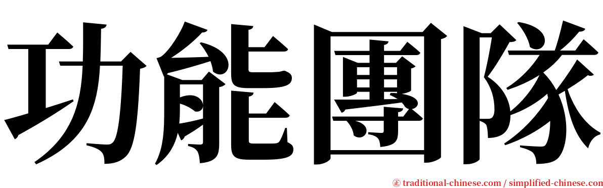 功能團隊 serif font