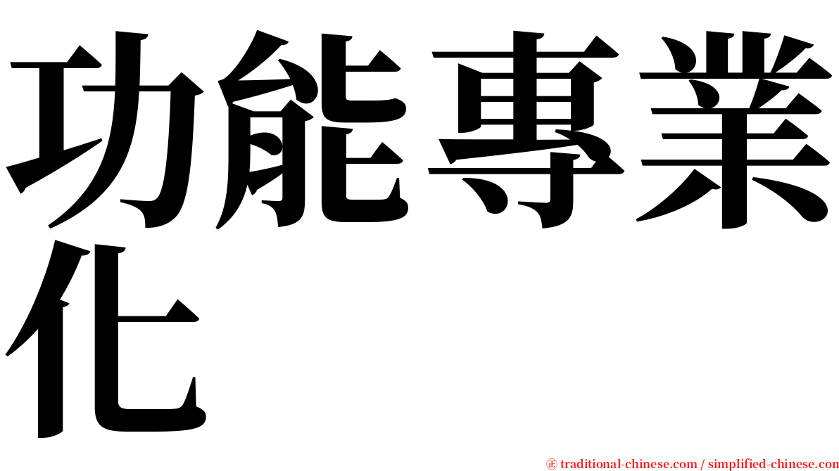 功能專業化 serif font