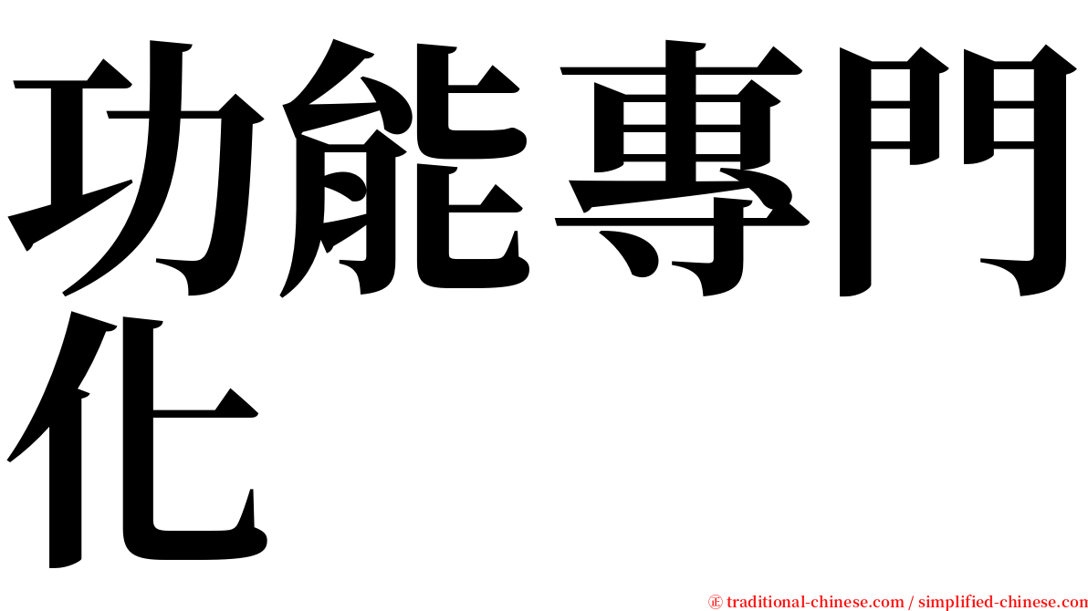 功能專門化 serif font