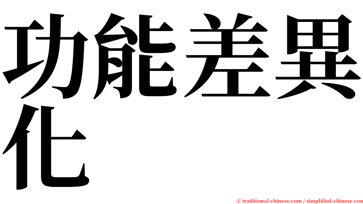 功能差異化 serif font