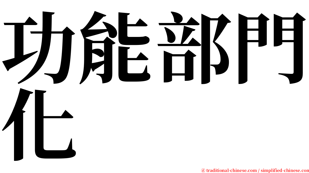 功能部門化 serif font