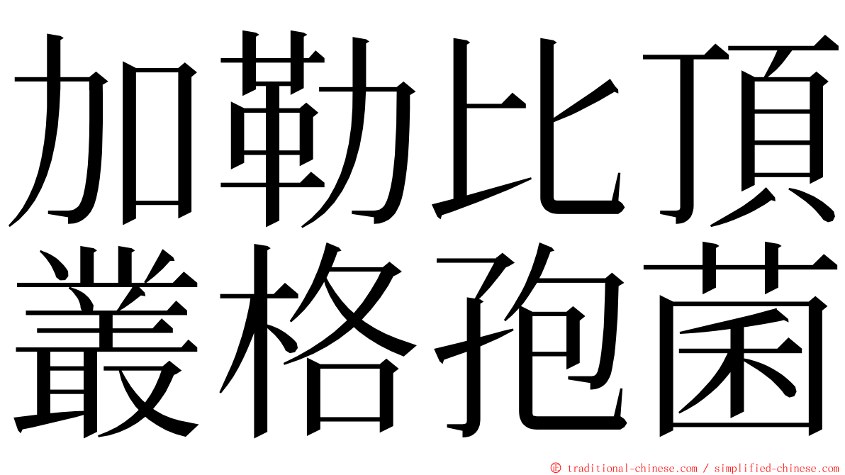 加勒比頂叢格孢菌 ming font