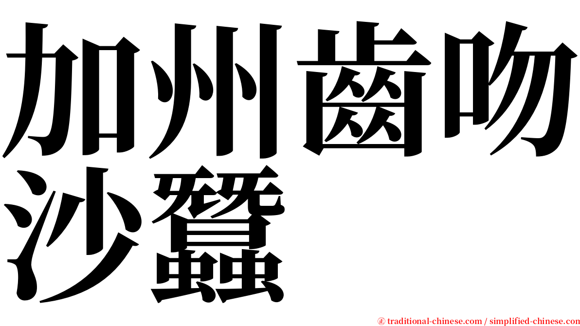 加州齒吻沙蠶 serif font