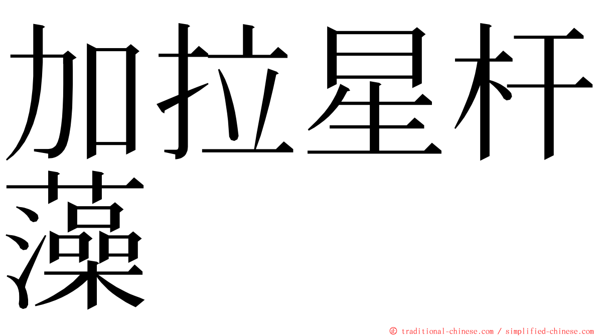 加拉星杆藻 ming font