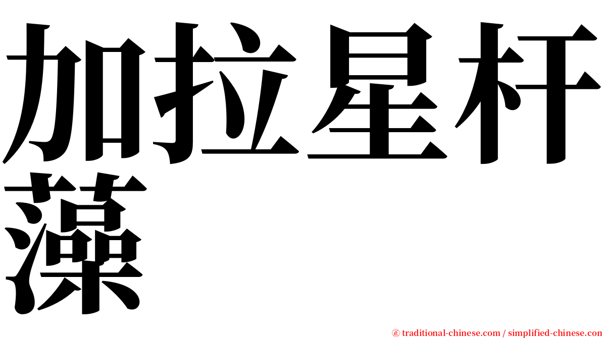 加拉星杆藻 serif font