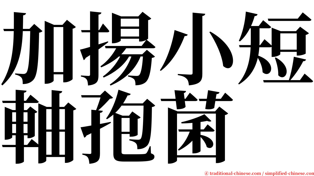 加揚小短軸孢菌 serif font