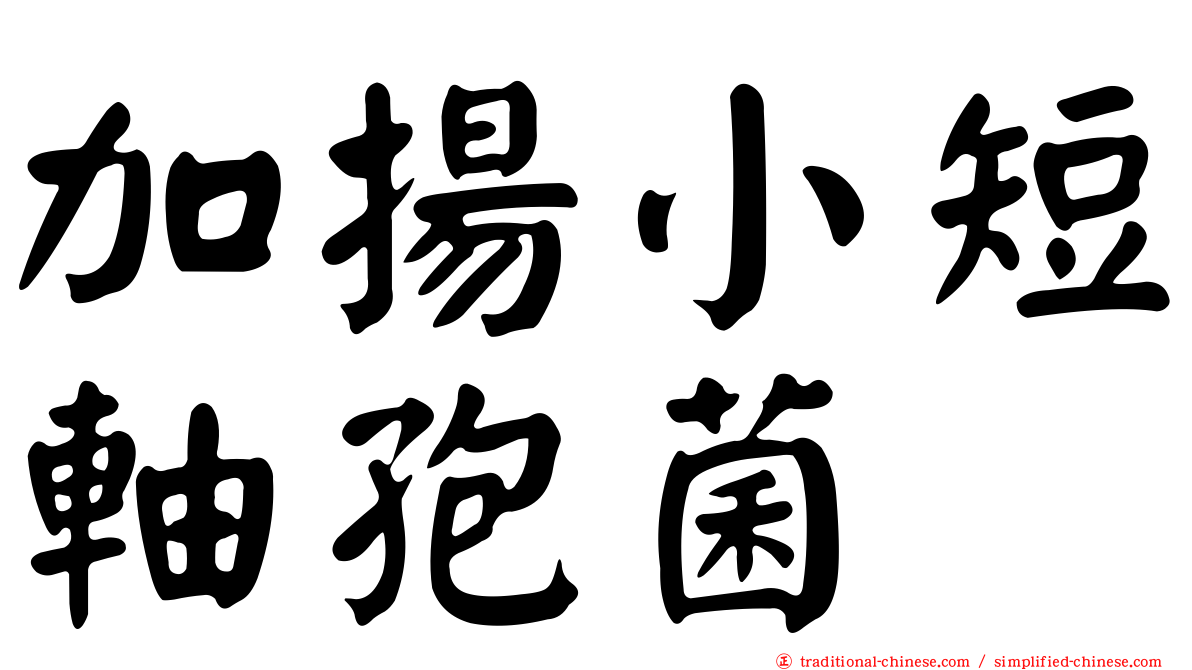 加揚小短軸孢菌