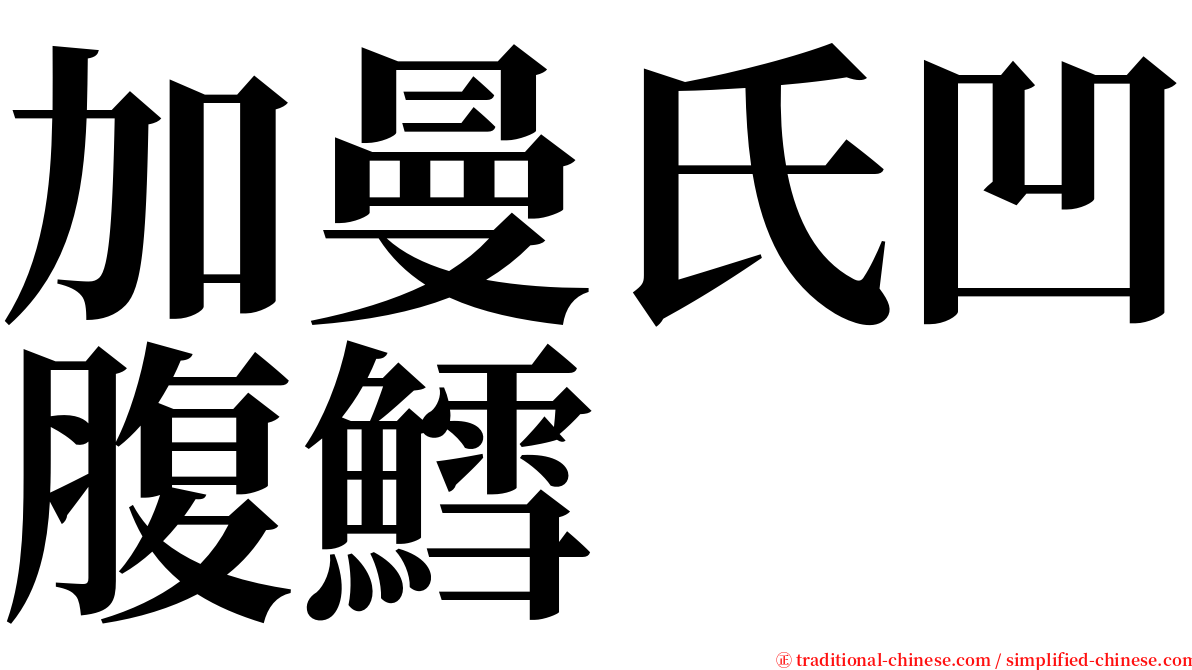 加曼氏凹腹鱈 serif font