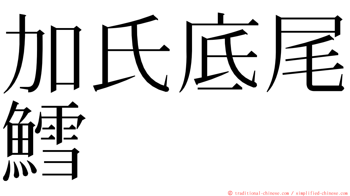 加氏底尾鱈 ming font