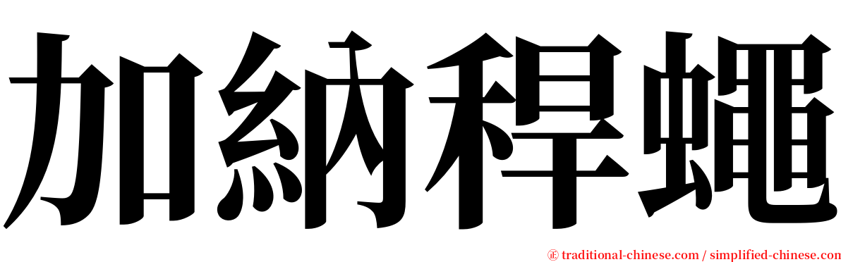 加納稈蠅 serif font