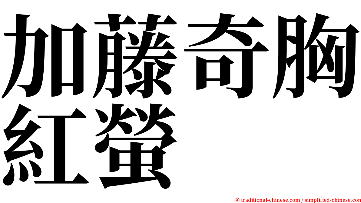 加藤奇胸紅螢 serif font