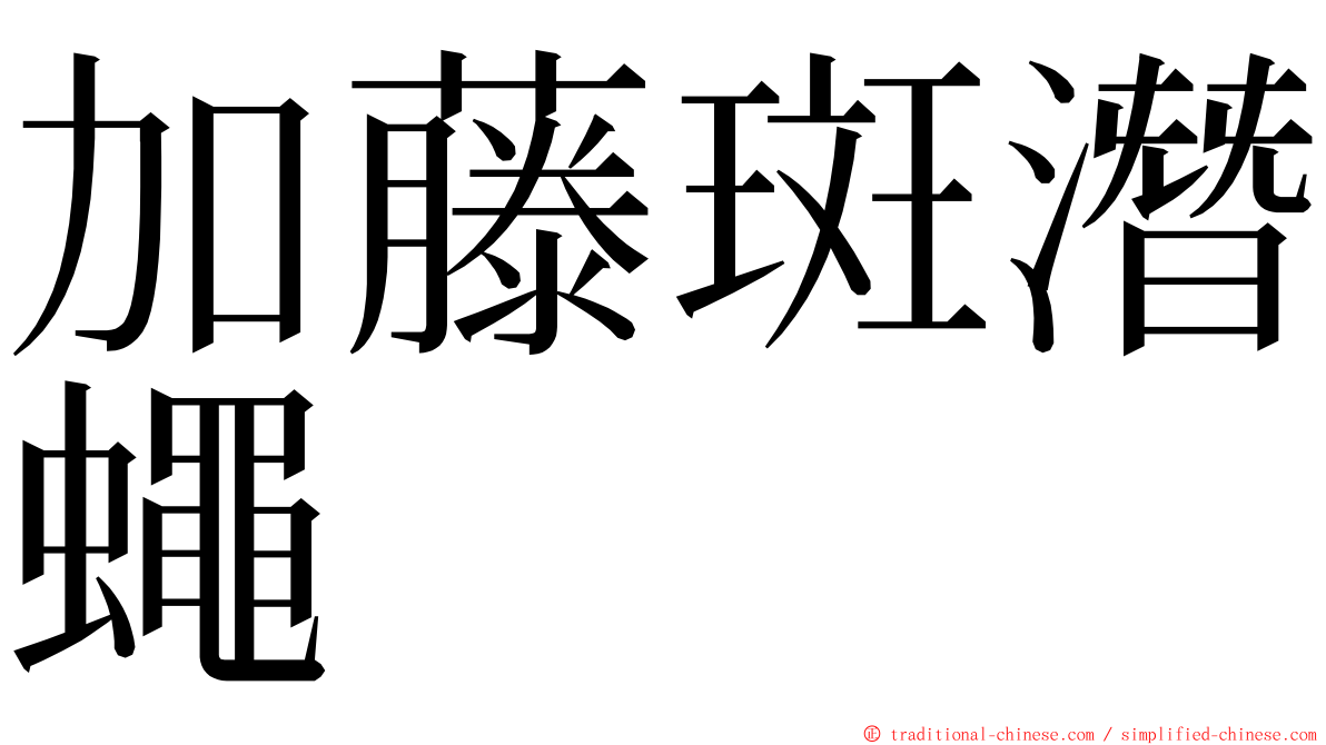 加藤斑潛蠅 ming font