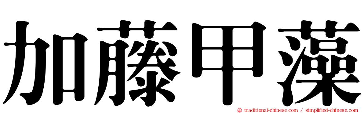 加藤甲藻