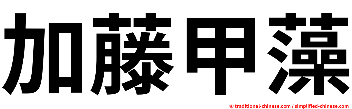 加藤甲藻